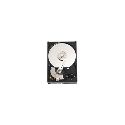 Dysk serwerowy Dell 1TB SATA 7.2k 3.5''