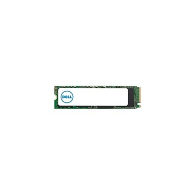 Dysk SSD DELL M.2 PCIe NVME Class 40 2280 1TB