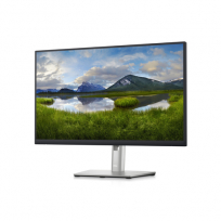 Monitor DELL P2423DE 23.8 QHD IPS LED HDMI DP USB-C Hub RJ-45 USB 3YBWAE