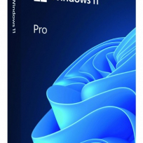 Microsoft Windows 11 Pro PL USB Box