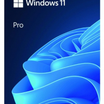 Microsoft Windows 11 Pro PL USB Box