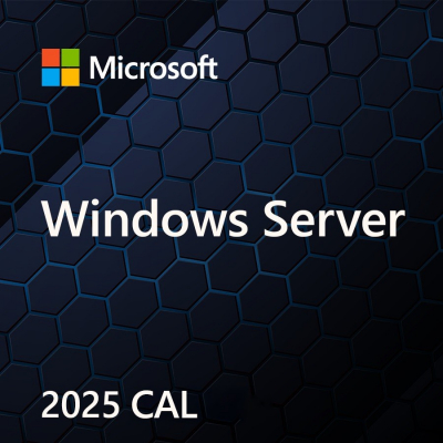 Windows Server CAL 2025 DSP 5-pack User CAL PL