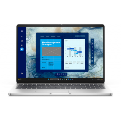 Laptop DELL Pro 16 PC16250 16 FHD+ Core 5-220U 16GB 512GB SSD FPR BK W11P 3YPS Platinum