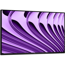 Monitor DELL Pro P2426HE 24 WOST