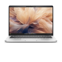 Laptop Dell Pro 14 Plus PB14255 14 FHD+ Ryzen 7 PRO 250 16GB 512GB AMD BK FPR SCR W11P 3YPS 